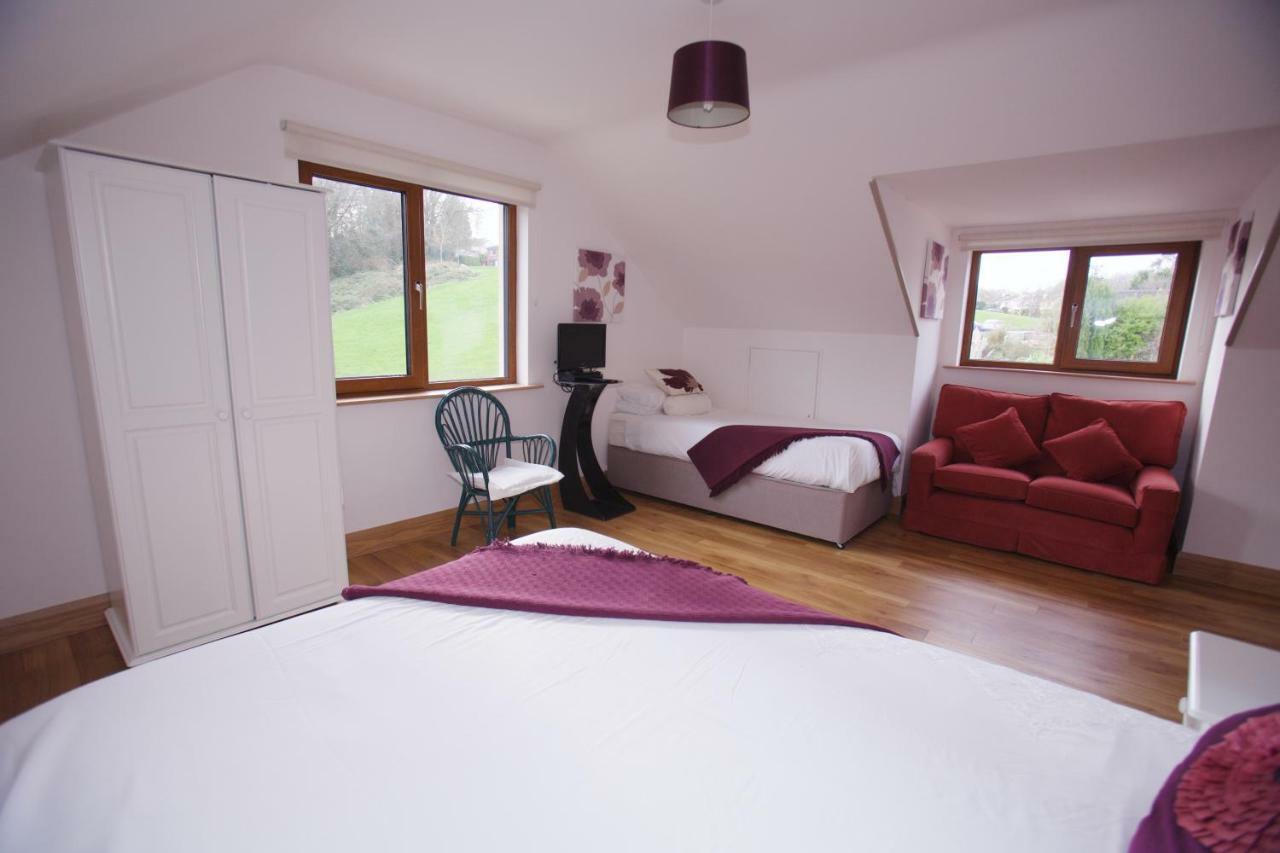 Woodview House Bed And Breakfast คอร์ก ภายนอก รูปภาพ